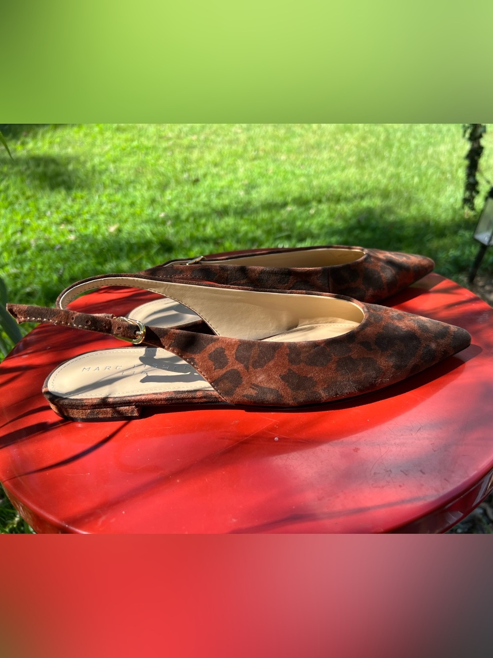 Grissy Slingback Pointed Toe Flat